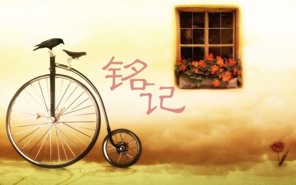 乌龟干养如何喂食，乌龟干养好不好
